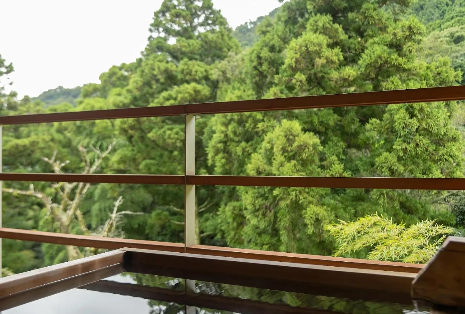 Ryokan Kinnotake Tonosawa (Adults Only) Hakone